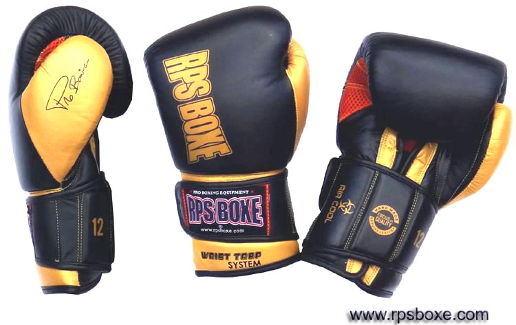 gants-de-boxe-cuir-gamgold-www-rpsboxe-com.jpg