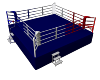 Boxing-ring-competition